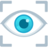 Vision